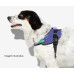 Peitoral para Cachorros FlyHarness Wicked - Zee Dog